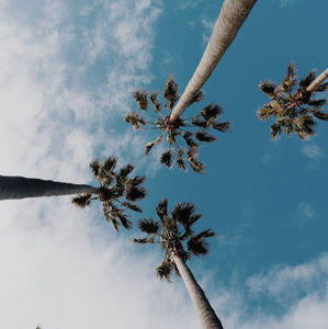 Meet your Posher, Kyleigh